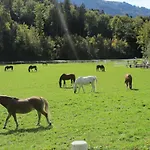 Eichhof Berner Oberland Çiftlik konaklama *