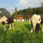 Eichhof Berner Oberland *