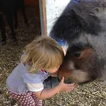 Eichhof Berner Oberland * Brienzwiler