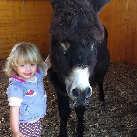 Eichhof Berner Oberland Farm stay *