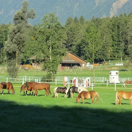 Feriegård Eichhof Berner Oberland *
