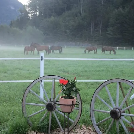 Eichhof Berner Oberland Farm stay *