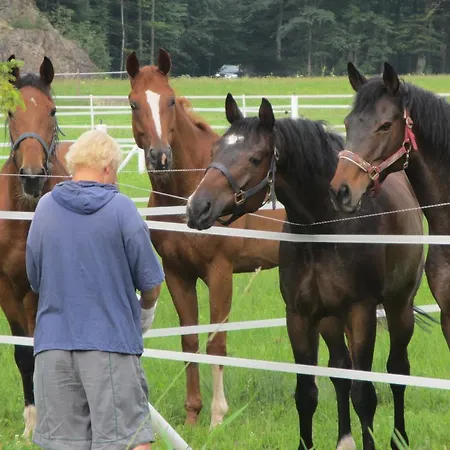 Eichhof Berner Oberland Фермерский дом