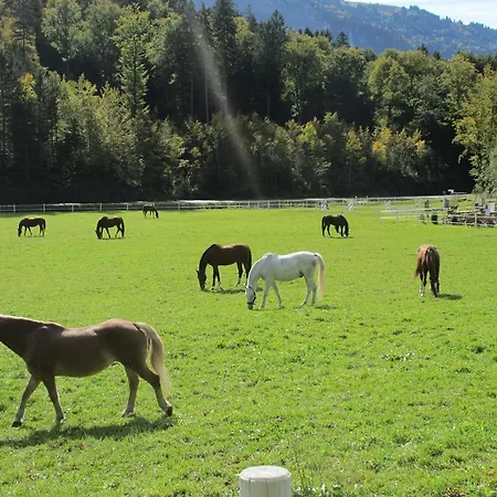 Eichhof Berner Oberland Feriegård *