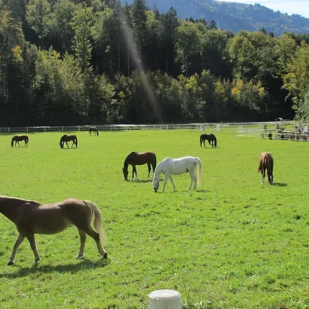 Eichhof Berner Oberland Farm stay *