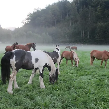 Eichhof Berner Oberland Farm stay *