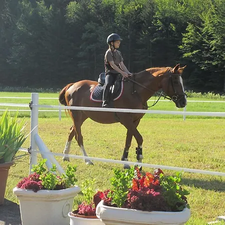 Eichhof Berner Oberland Фермерский дом