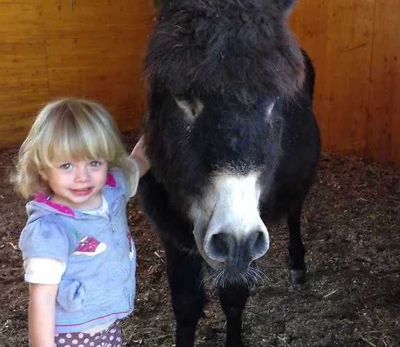 Eichhof Berner Oberland Farmház *