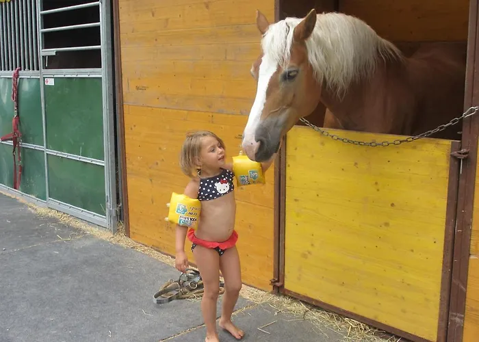 Eichhof Berner Oberland Feriegård