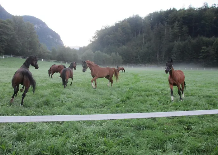 Eichhof Berner Oberland * Brienzwiler