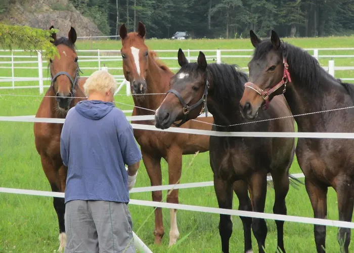 Eichhof Berner Oberland Feriegård