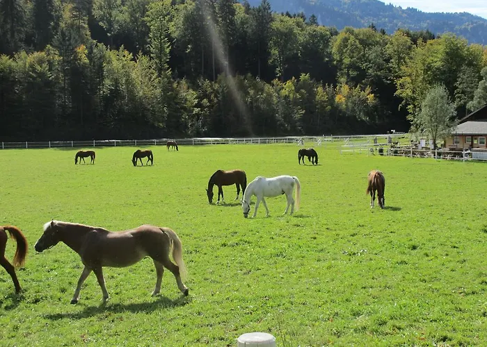 Eichhof Berner Oberland Farmház *