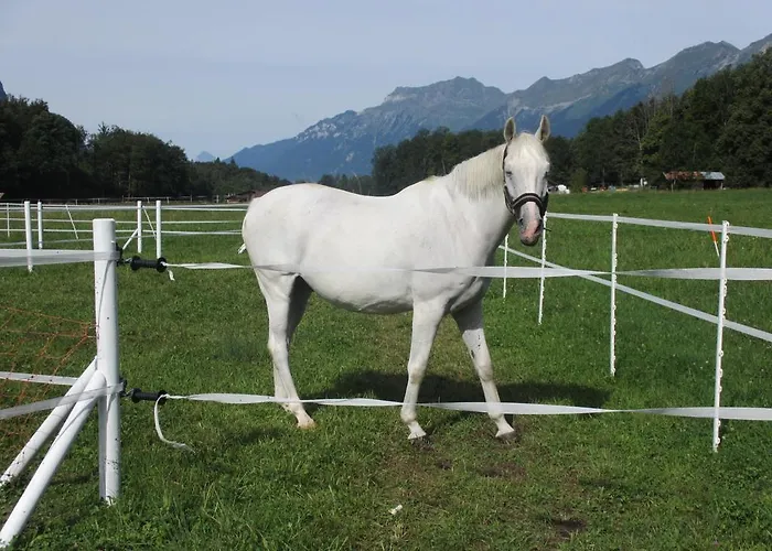 Eichhof Berner Oberland * Brienzwiler