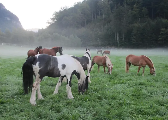 Eichhof Berner Oberland Farmház *