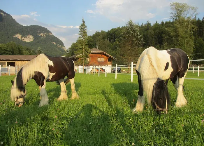 Eichhof Berner Oberland *