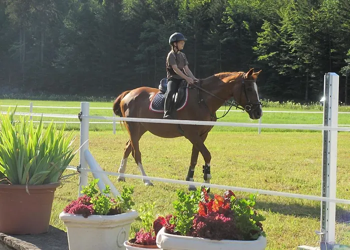 Eichhof Berner Oberland Feriegård