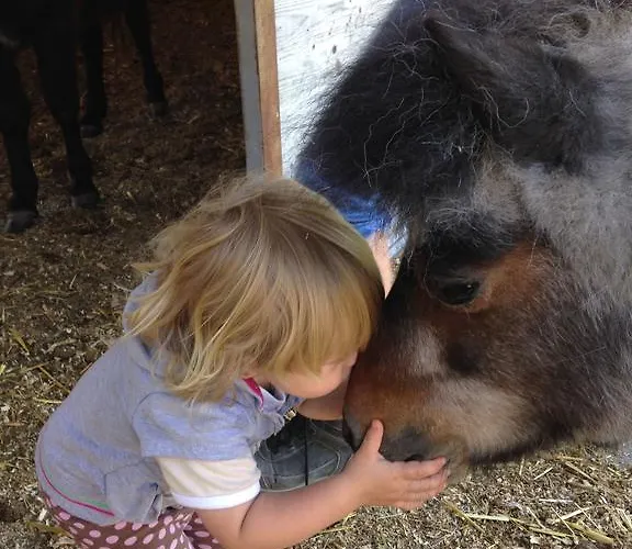 Eichhof Berner Oberland * Brienzwiler