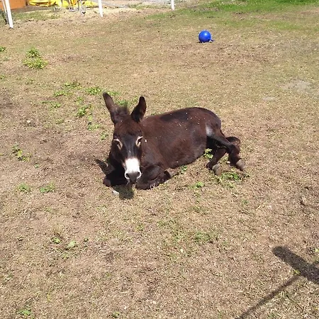 Eichhof Berner Oberland