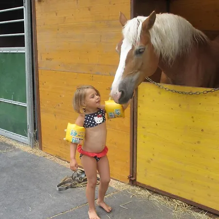 Eichhof Berner Oberland Lantgård