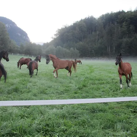 Eichhof Berner Oberland * Brienzwiler
