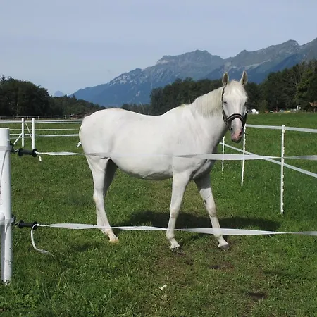 Eichhof Berner Oberland * Brienzwiler