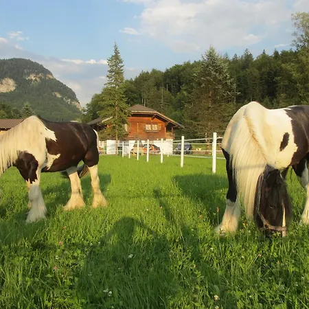 Eichhof Berner Oberland *