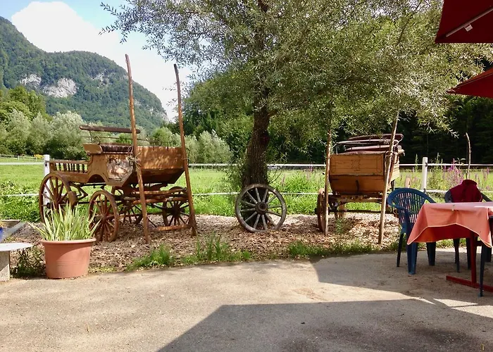 مزرعة للإقامة Eichhof Berner Oberland *
