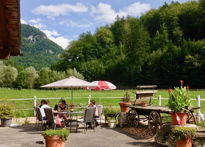 Eichhof Berner Oberland مزرعة للإقامة Brienzwiler