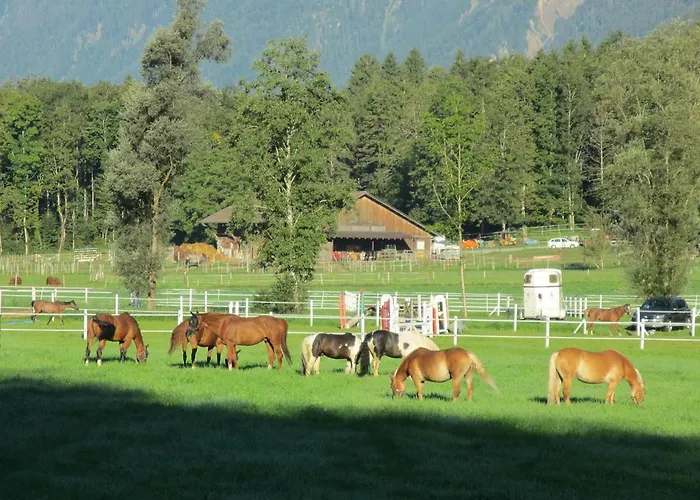 مزرعة للإقامة Eichhof Berner Oberland *