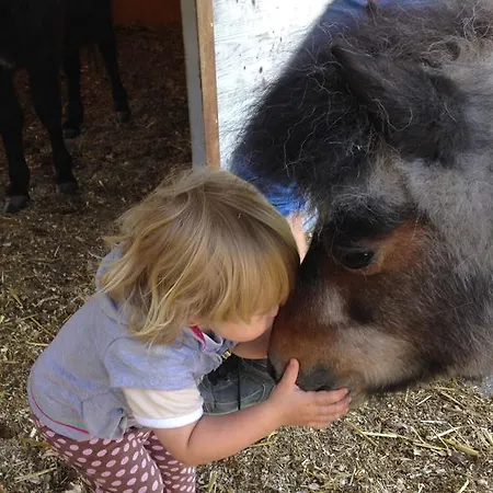 Eichhof Berner Oberland * Brienzwiler